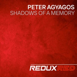 Shadows Of A Memory