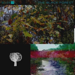 The Black Forest