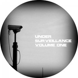 Under Surveillance, Vol. 1