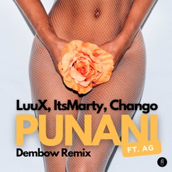 Punani (feat. AG) (Dembow Remix)