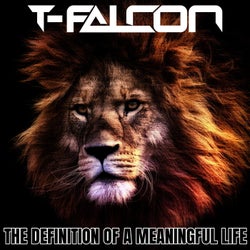 The Definition Of A Meaningful Life (Instrumental Radio Edit)