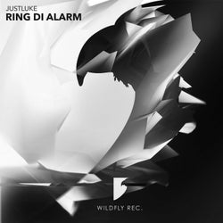 Ring Di Alarm