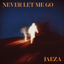 Never Let Me Go