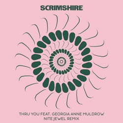 Thru You (feat. Georgia Anne Muldrow, Nite Jewel) [Nite Jewel Remix]