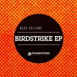 Birdstrike EP