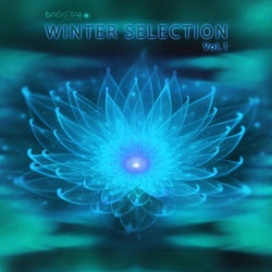 Bass Star Records Winter Selection, Vol. 1