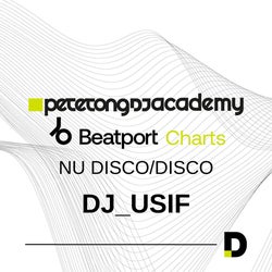 Record Bag Challenge -  Nu Disco / Disco