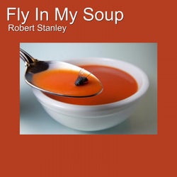 Fly in My Soup