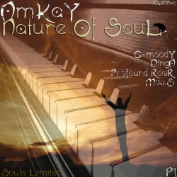 Nature of Soul, Vol. 1 (Remixes)