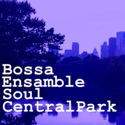 Soul Central Park