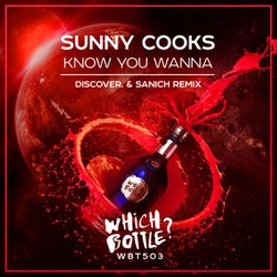 Know You Wanna (DiscoVer. & Sanich Remix)
