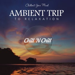 Ambient Trip to Relaxation: Chillout Your Mind