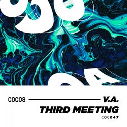 Third Meeting