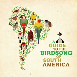 A Guide to the Birdsong of South America