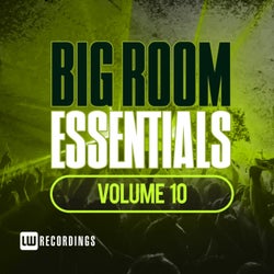 Big Room Essentials, Vol. 10