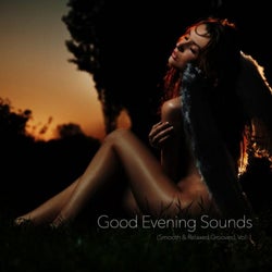 Good Evening Sounds (Smooth & Relaxed Grooves), Vol. 1