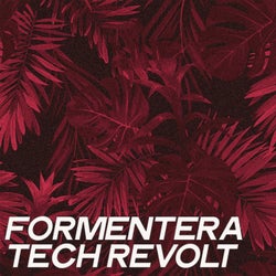 Formentera Tech Revolt