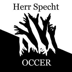 Herr Specht