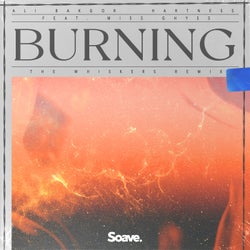 Burning (feat. Miss Ghyss) [The Whiskers Remix]