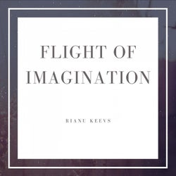 Flight of imagination