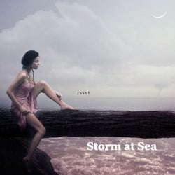 Storm At Sea