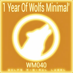 1 Year Of Wolfs Minimal'