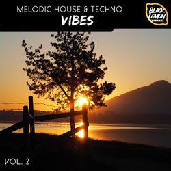 Melodic House & Techno Vibes, Vol. 2