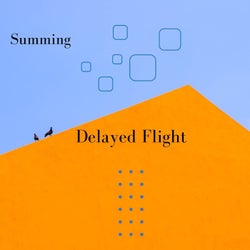 Delayed Flight