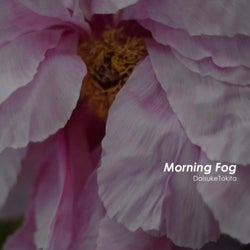 Morning Fog