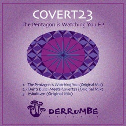 The Pentagon is Watching You EP