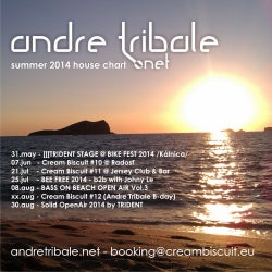 ANDRE TRIBALE SUMMER 2014 HOUSE CHART