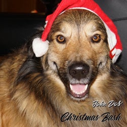 Christmas Bash