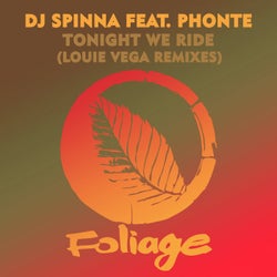 Tonight We Ride (Louie Vega Remixes)