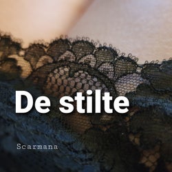 De stilte