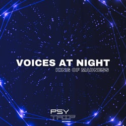 Voices At Night