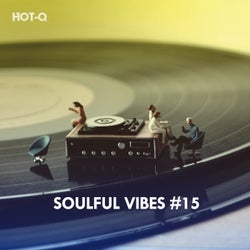 Soulful Vibes, Vol. 15