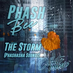 The Storm (Phashasha Soundz)
