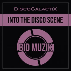 Into The Disco Scene