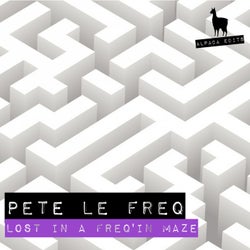 Lost In A Freq'in Maze