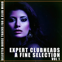 Expert Clubheads: A Fine Selection, Vol. 1