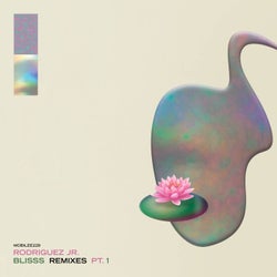 Blisss Remixes, Pt. 1