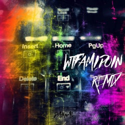 Wtfamidoin (Remix)