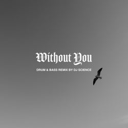 Without You (Drum & Bass Remix)