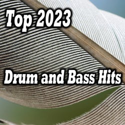 Top 2023 Drum and Bass Hits