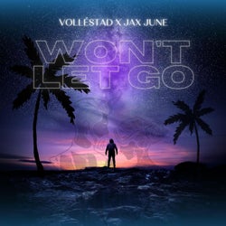 Won't Let Go (feat. Jax June)