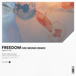 Freedom (Vee Brondi Remix)