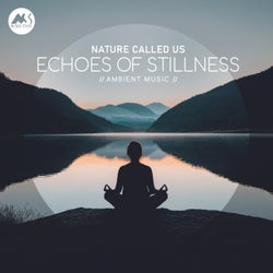 Echoes of Stillness