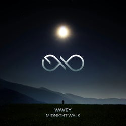 Midnight Walk