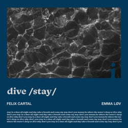 dive /stay/ (Extended Mix)