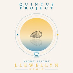 Night Flight (Llewellyn Remix)